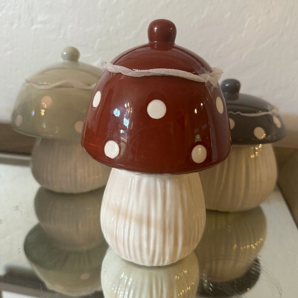 Target bullseye mushroom polka‎ dot Modern Ceramic Canisters & Jars set of 3